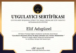 Psk. Elif Sevi Adıgüzel profilinde yer alan galeri fotoğrafı.