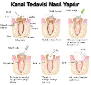 Dr. Dt. Faruk Er profilinde yer alan galeri fotoğrafı.