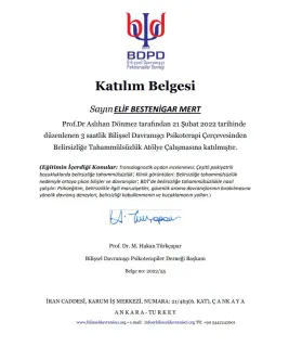 Kl. Psk. Elif Bestenigar Mert profilinde yer alan galeri fotoğrafı.