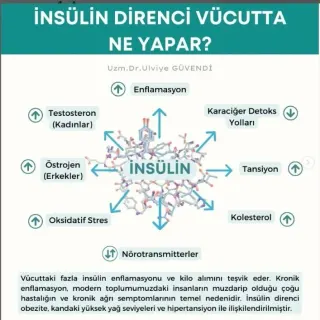Uzm. Dr. Ülviye Güvendi profilinde yer alan galeri fotoğrafı.