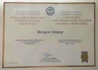 Psk. Meryem Akmeşe profilinde yer alan galeri fotoğrafı.