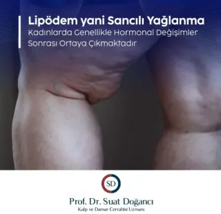 Prof. Dr. Suat Doğancı profilinde yer alan galeri fotoğrafı.