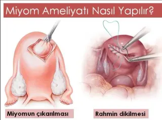 Prof. Dr. Murat Öz profilinde yer alan galeri fotoğrafı.