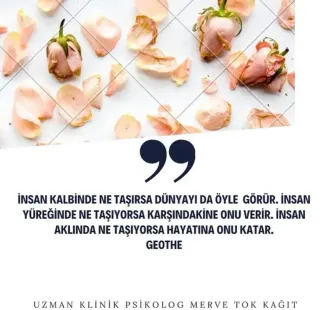 Kl. Psk. Merve Tok Kağıt profilinde yer alan galeri fotoğrafı.