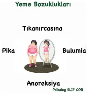 Psk. Elif Cor profilinde yer alan galeri fotoğrafı.