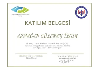 Kl. Psk. Armağan Gülenay profilinde yer alan galeri fotoğrafı.