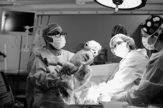 Op. Dr. Emine Özel Taşhan profilinde yer alan galeri fotoğrafı.