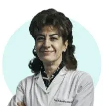 Prof. Dr. Berkten Berkalp profilinde yer alan galeri fotoğrafı.