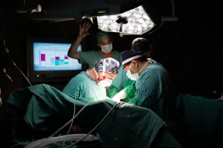 Op. Dr. Bilgehan Çağdaş Sonbahar profilinde yer alan galeri fotoğrafı.