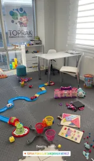 Psk. Emine Cemiloğlu profilinde yer alan galeri fotoğrafı.