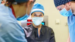 Dr. Öğr. Üyesi Aslı Datlı profilinde yer alan galeri fotoğrafı.