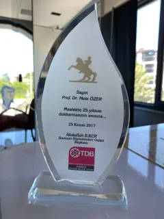 Prof. Dr. Mete Özer profilinde yer alan galeri fotoğrafı.
