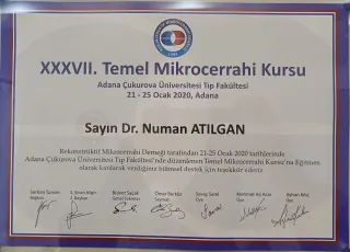 Op. Dr. Numan Atılgan profilinde yer alan galeri fotoğrafı.