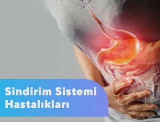Prof. Dr. Levent Yeniay profilinde yer alan galeri fotoğrafı.