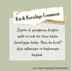 Kl. Psk. Elif Şahingiray profilinde yer alan galeri fotoğrafı.