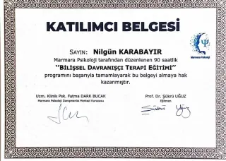 Psk. Nilgün Karabayır profilinde yer alan galeri fotoğrafı.