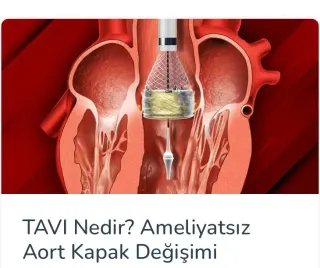 Assoc. Prof. Dr. Musa Çakıcı profilinde yer alan galeri fotoğrafı.