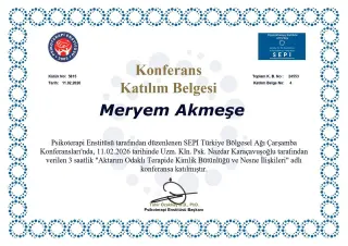 Psk. Meryem Akmeşe profilinde yer alan galeri fotoğrafı.