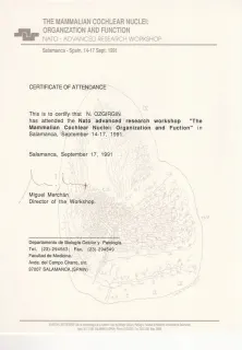 Prof. Dr. Nuri Özgirgin profilinde yer alan galeri fotoğrafı.