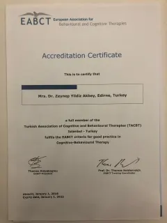 Uzm. Dr. Zeynep Yıldız Akbey profilinde yer alan galeri fotoğrafı.