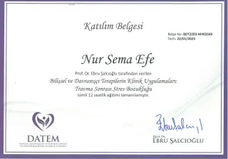 Uzm. Psk. Nur Sema Efe profilinde yer alan galeri fotoğrafı.