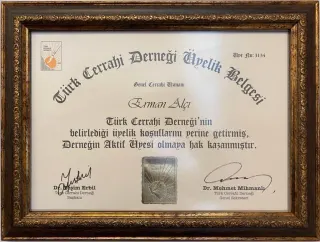 Doç. Dr. Erman Alçı profilinde yer alan galeri fotoğrafı.