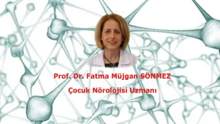 Prof. Dr. F. Müjgan Sönmez profilinde yer alan galeri fotoğrafı.