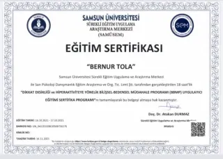 Psk. Bernur Tola profilinde yer alan galeri fotoğrafı.