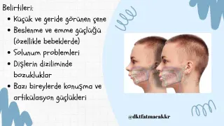 Dkt. Fatma Çakır profilinde yer alan galeri fotoğrafı.