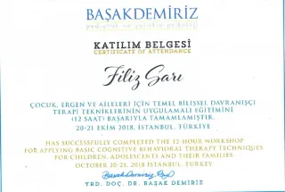 Psk. Filiz Sarı profilinde yer alan galeri fotoğrafı.