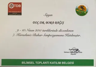 Prof. Dr. Bora Bağış profilinde yer alan galeri fotoğrafı.