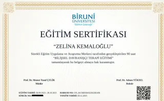 Psk. Zelina İbrahim profilinde yer alan galeri fotoğrafı.