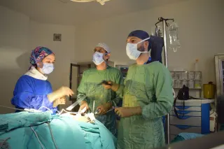 Prof. Dr. Nevzat Can Şener profilinde yer alan galeri fotoğrafı.