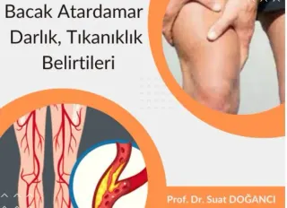 Prof. Dr. Suat Doğancı profilinde yer alan galeri fotoğrafı.