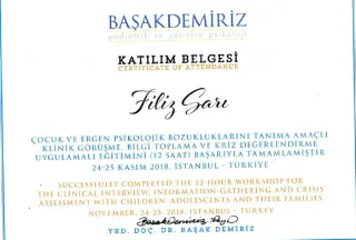 Psk. Filiz Sarı profilinde yer alan galeri fotoğrafı.