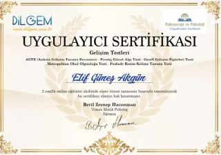 Uzm. Dkt. Elif Güneş Gülsoy profilinde yer alan galeri fotoğrafı.