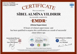 Kl. Psk. Sibel Almina Yıldırır profilinde yer alan galeri fotoğrafı.
