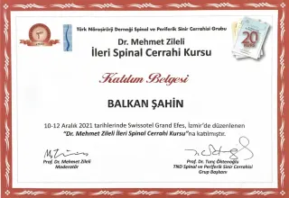 Doç. Dr. Balkan Şahin profilinde yer alan galeri fotoğrafı.