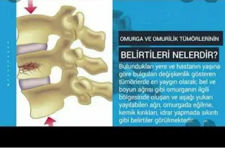 Doç. Dr. Veysel Antar profilinde yer alan galeri fotoğrafı.