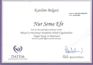 Uzm. Psk. Nur Sema Efe profilinde yer alan galeri fotoğrafı.