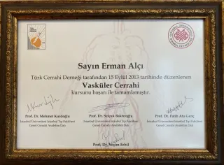 Doç. Dr. Erman Alçı profilinde yer alan galeri fotoğrafı.