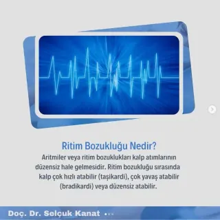 Doç. Dr. Selçuk Kanat profilinde yer alan galeri fotoğrafı.