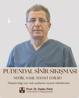 Prof. Dr. Hakkı Perk profilinde yer alan galeri fotoğrafı.