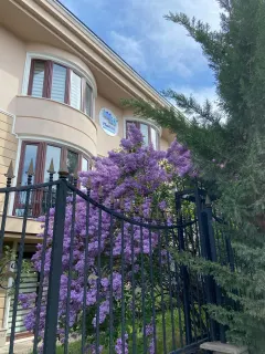 Psk. Yeliz Gökçe Akdoğan profilinde yer alan galeri fotoğrafı.