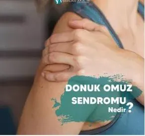Prof. Dr. Serdar Akalın profilinde yer alan galeri fotoğrafı.