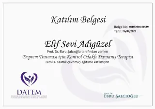 Psk. Elif Sevi Adıgüzel profilinde yer alan galeri fotoğrafı.