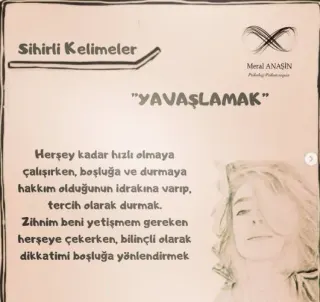 Psk. Meral Anaşin profilinde yer alan galeri fotoğrafı.