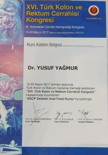 Prof. Dr. Yusuf Yağmur profilinde yer alan galeri fotoğrafı.