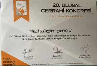 Op. Dr. Veli Kürşat Çayhan profilinde yer alan galeri fotoğrafı.