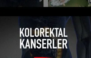 Dr. Öğr. Üyesi Mehmet Ali Melik profilinde yer alan galeri fotoğrafı.
